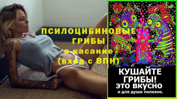 2c-b Зеленодольск