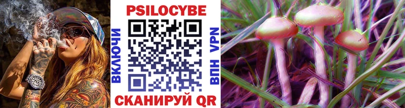 Псилоцибиновые грибы Magic Shrooms  Купить закладки  Катав-Ивановск 